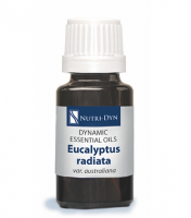 Dynamic Essentials Eucalyptus radiata (var. australiana)